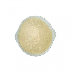 Samarium Oxide Sm2O3 Powder CAS 12060-58-1